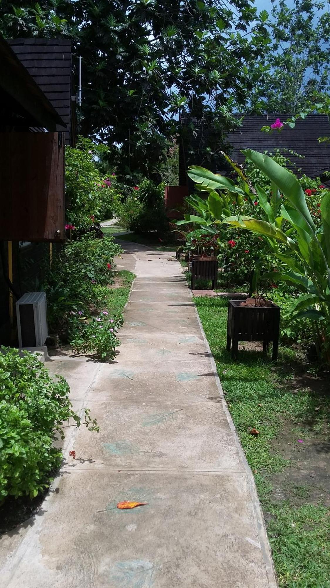 Firefly Beach Cottages Negril Dış mekan fotoğraf
